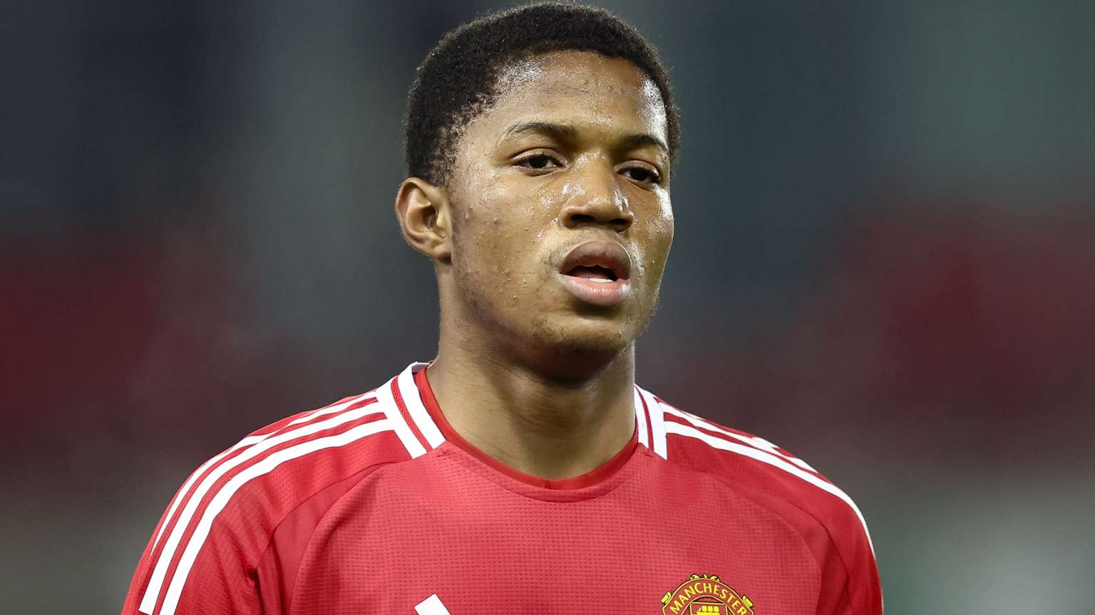 卡塔爾世界 卡塔爾世界