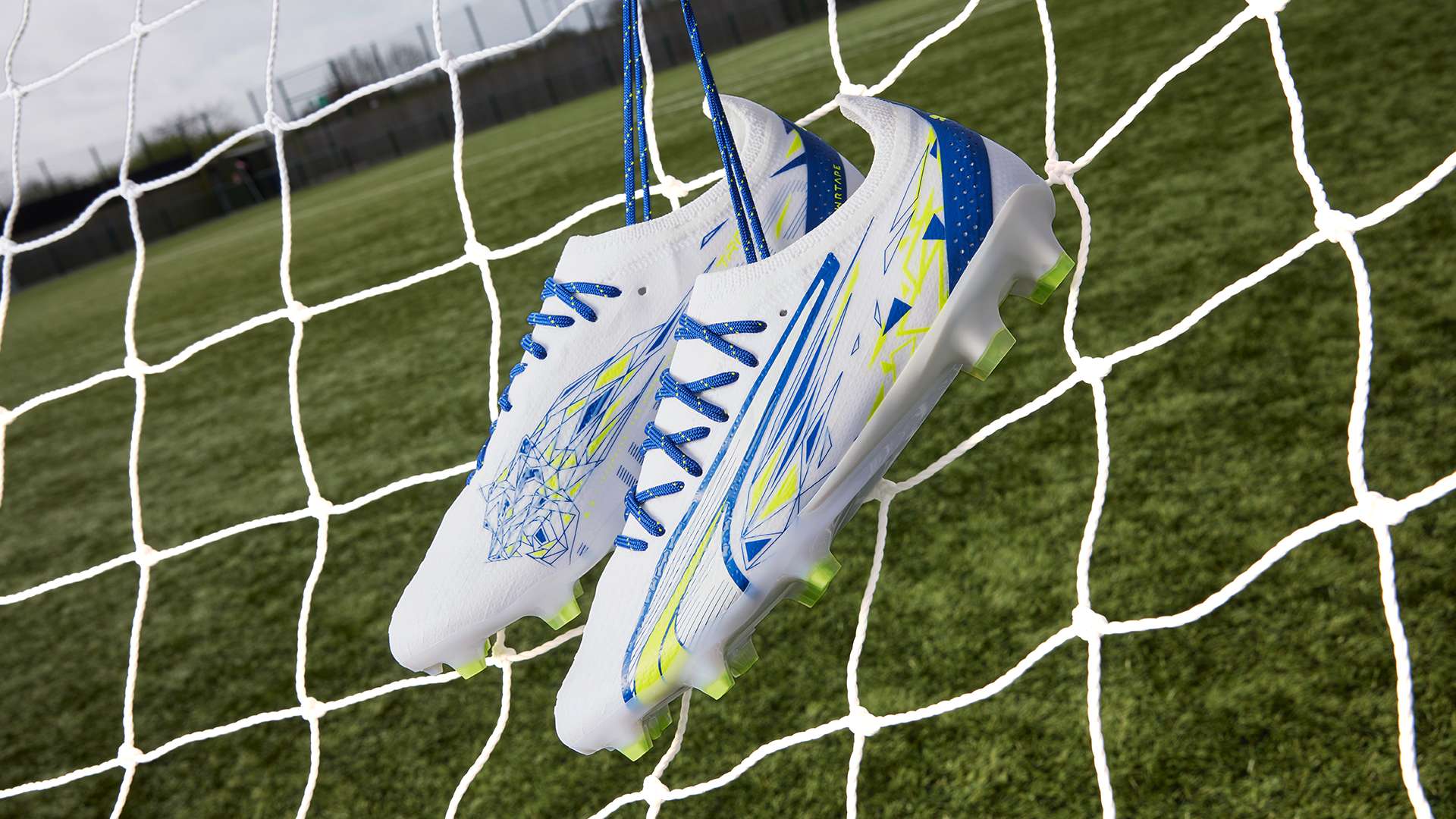 战胜了菲尼 战胜了菲尼